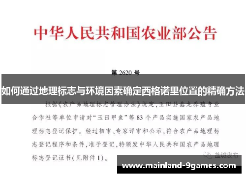 如何通过地理标志与环境因素确定西格诺里位置的精确方法