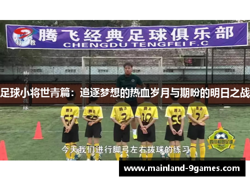 足球小将世青篇：追逐梦想的热血岁月与期盼的明日之战