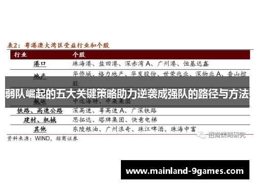 弱队崛起的五大关键策略助力逆袭成强队的路径与方法