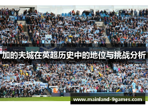 加的夫城在英超历史中的地位与挑战分析 加的夫城在英超历史中的地位与挑战分析