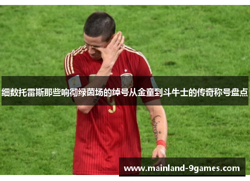 细数托雷斯那些响彻绿茵场的绰号从金童到斗牛士的传奇称号盘点 细数托雷斯那些响彻绿茵场的绰号从金童到斗牛士的传奇称号盘点